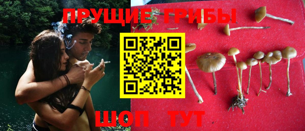 Усолье-Сибирское  Псилоцибиновые грибы прущие грибы  Вход с VPN 
