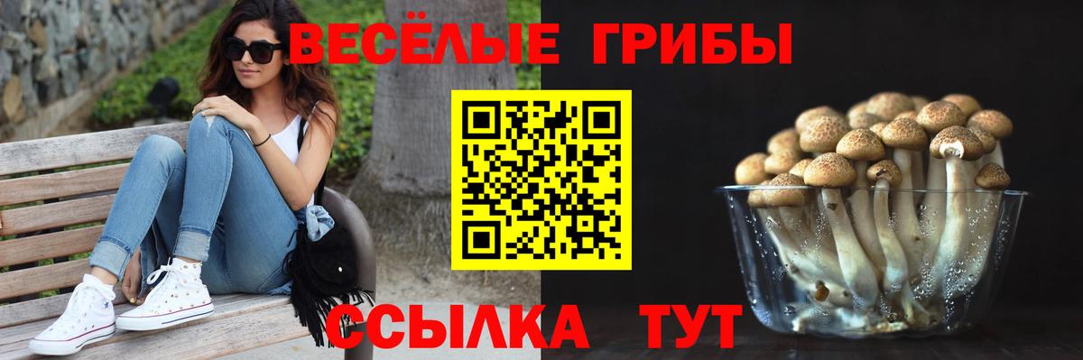 Псилоцибиновые грибы MAGIC MUSHROOMS Усолье-Сибирское